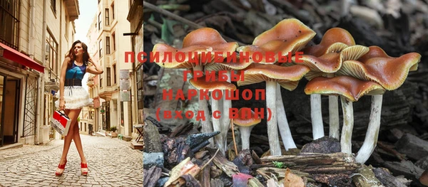 MDMA Premium VHQ Елабуга