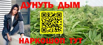 ешки Гатчина