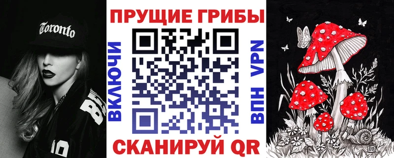 OMG ССЫЛКА  Северобайкальск  Галлюциногенные грибы ЛСД 