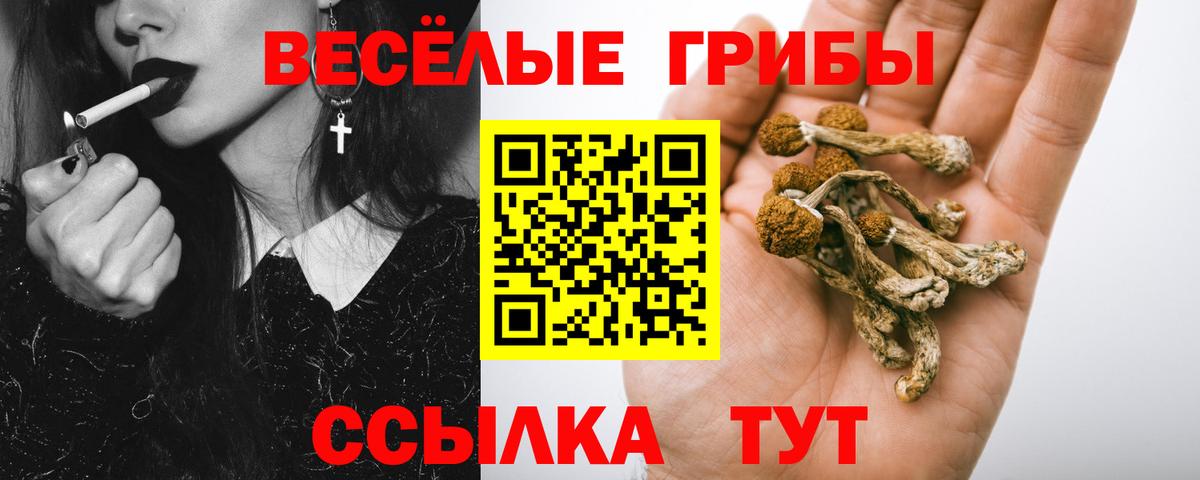 Северобайкальск  Псилоцибиновые грибы MAGIC MUSHROOMS  Вход с VPN 